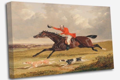 Classic fox hunting - fox,