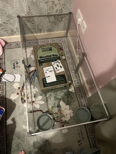 Rabbit hutch transparent with - rabbit,