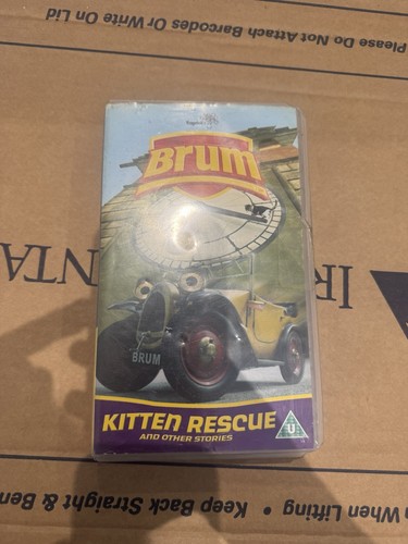 Brum kitten rescue - brum,