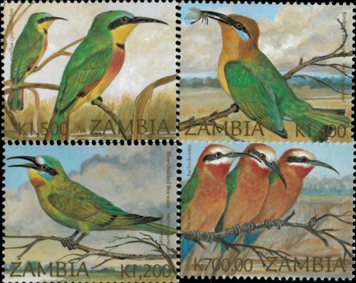 Zambia 2002 birds - birds, definitive