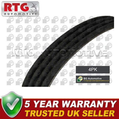 Ribbed drive belt fits ford - v,