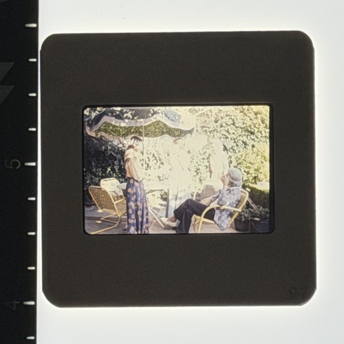 Vintage 1970s film slide - vintage,