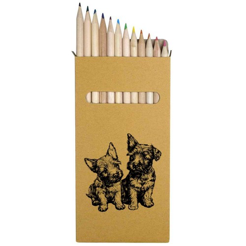 Scottish terrier - x,