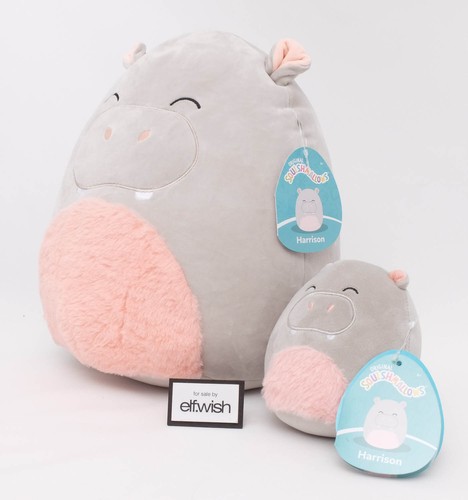 Squishmallows duo hippotamus - squishmallows,