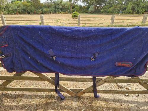 Blue whitaker fleece - blue,