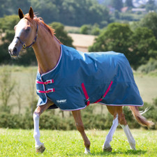Shires Tempest Original Lite
