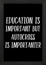 Autocross is Importanter