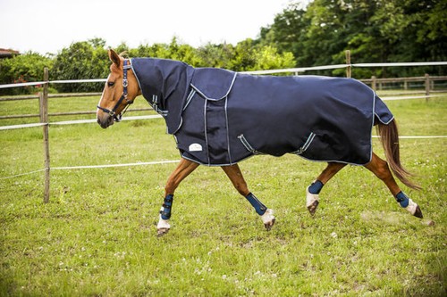 Turnout rug heavyweight ekkia - turnout, heavyweight,ekkia
