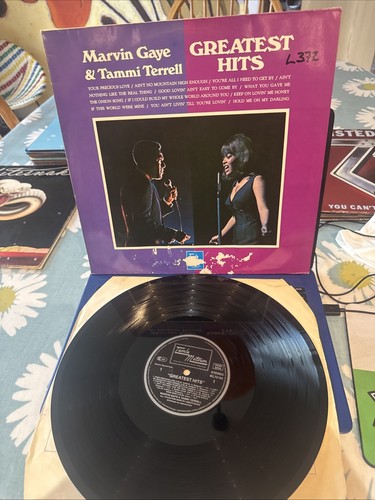 Marvin gaye tammi - tammi,