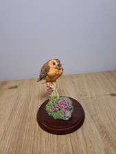 Border Fine Arts Baby Robin On