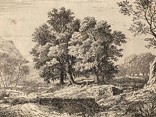 Very Beautiful 19th Century Engraving Signed Jean-Claude Charmier 1844 Tree