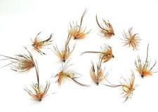French partridge hot orange - french,