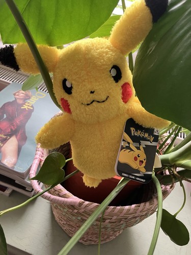 Pokémon soft cuddly plush toy - pokémon,