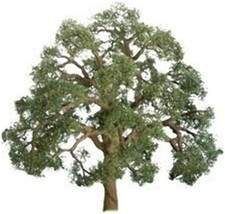 JTT Live Oak - O Scale Model