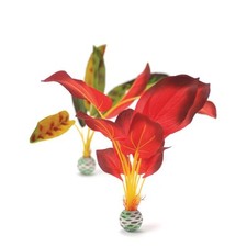 BIORB LARGE RED/GREEN PLANT
