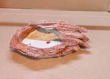Amazing Layered Driftwood