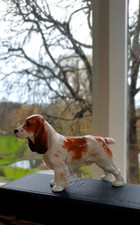 Royal Doulton Cocker Spaniel