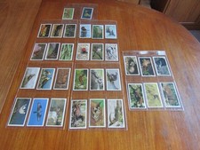 GRANDEE   cigarette cards full