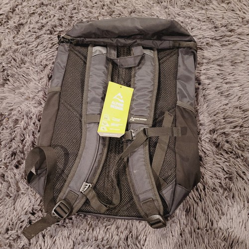Alpine backpack daypack rugger - alpine,