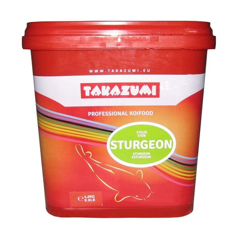 Takazumi sturgeon sinking - sturgeon,