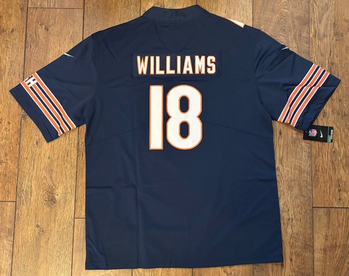 Chicago bears field version - chicago,