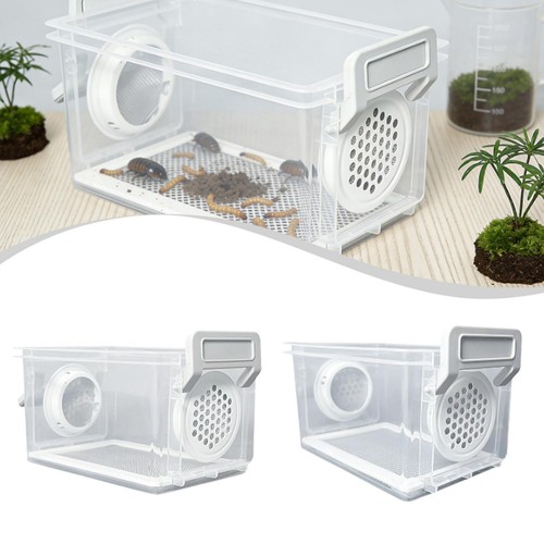 Mini plastic crickets feeding - plastic,