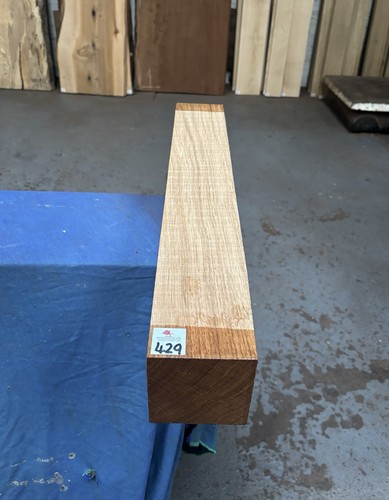 English oak - 1, x
