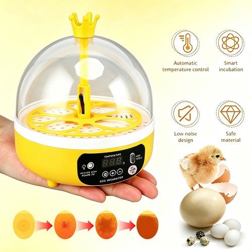 Mini egg hatching machine - egg,