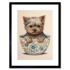 Cute Teacup Yorkshire Terrier