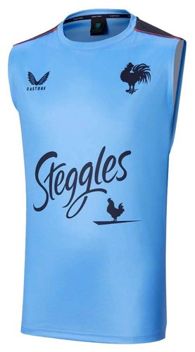 Sydney roosters nrl - mens, blue