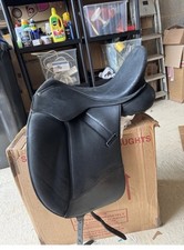 17 Inch Black Isabell Werth