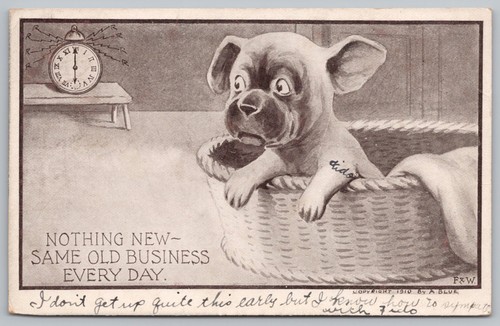 1910 comic dog - 1910, alarm