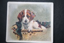 BASSET HOUND  Puppy 1930's Vintage Textured Card  EE19M