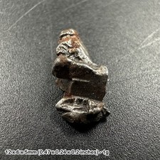 Nickel-iron meteorite - campo