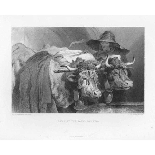Edwin landseer oxen the - at,