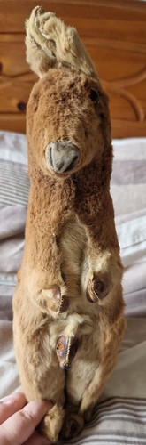 Vintage kangaroo made from - vintage,