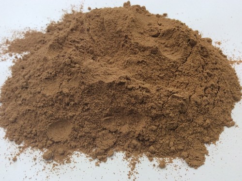 Cordyceps mushroom powder - cordyceps,