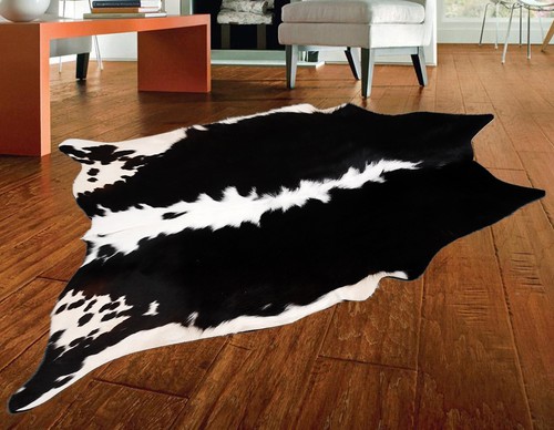 100 genuine cow - cow, area