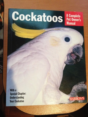 Barron cockatoos everything - cockatoos:,
