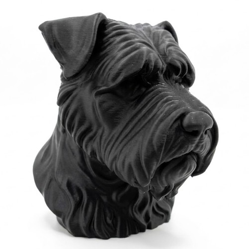 Bouvier des flandres - des, dog