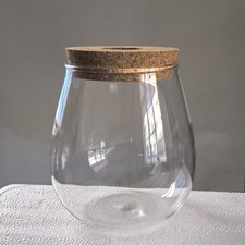 Transparent Hydroponic