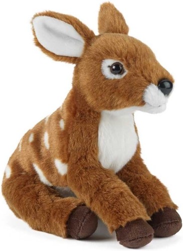 Living nature fawn - living,