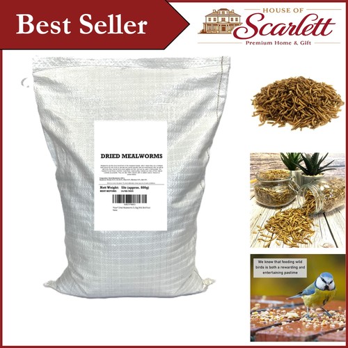 Dried mealworms the - dried,