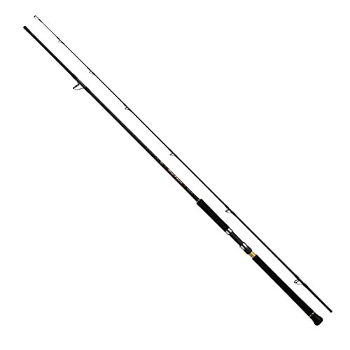 Daiwa spinning rod over - spinning, there