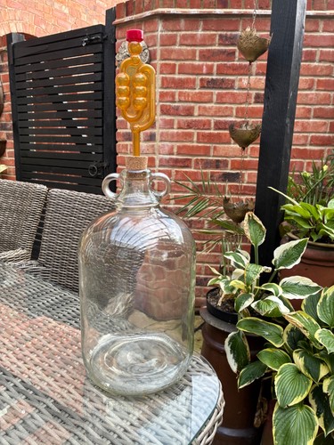 Demijohn wine mead home brew - demijohn, wine/mead/home