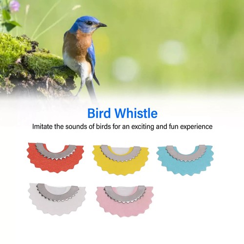 Bird whistle colors - bird,