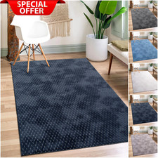 Large Living Room Rugs Non