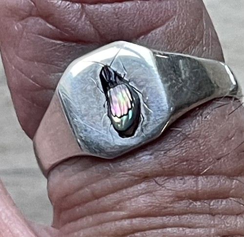 Silver shibayama ladies signet - shibayama,