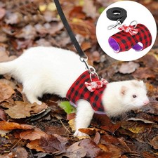 Limorista | Bowknot Ferret