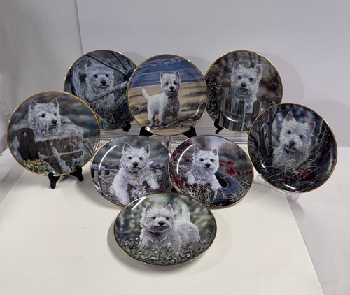 Westie dog design j doyle - westie,